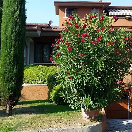 Stay-with-us Appartments